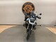 BMW R
