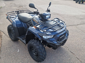 Kawasaki Brute Force