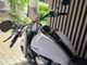 Suzuki Intruder