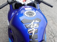 Suzuki GSX