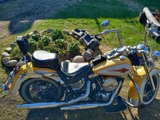 Harley-Davidson Softail