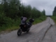 Honda XL