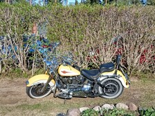 Harley-Davidson Softail