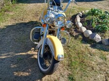 Harley-Davidson Softail