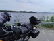 Honda XL