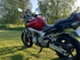 Yamaha FZ6-N
