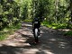 Derbi DRD