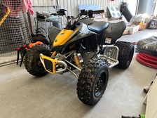 Can-Am DS
