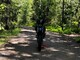 Derbi DRD
