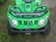 Arctic Cat 366