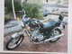 Jawa Chopper