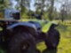Yamaha Grizzly