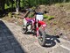 Apollo Motors Rider