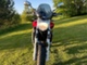 Yamaha FZ6-N