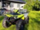 Yamaha Grizzly