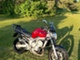 Yamaha FZ6-N