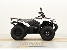Kawasaki Brute Force