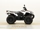 Kawasaki Brute Force