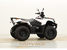 Kawasaki Brute Force