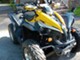 Can-Am renegade