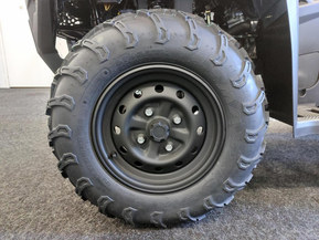 Kawasaki Brute Force