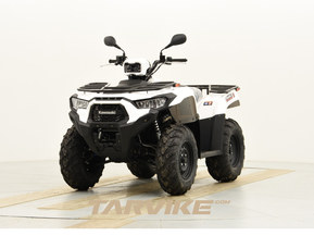 Kawasaki Brute Force
