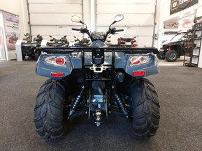 Kawasaki Brute Force