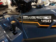 Kawasaki Brute Force