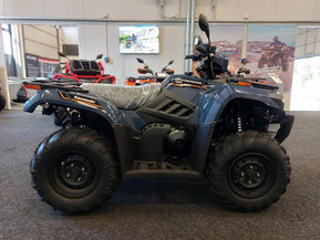 Kawasaki Brute Force