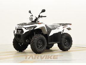Kawasaki Brute Force