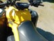 Can-Am renegade