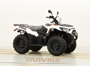 Kawasaki Brute Force