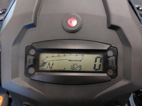 Kawasaki Brute Force