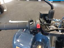 Kawasaki Brute Force