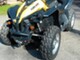 Can-Am renegade