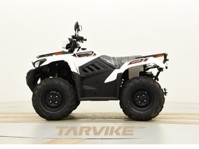 Kawasaki Brute Force