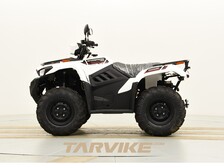 Kawasaki Brute Force