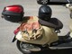 Vespa GTS