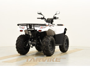 Kawasaki Brute Force