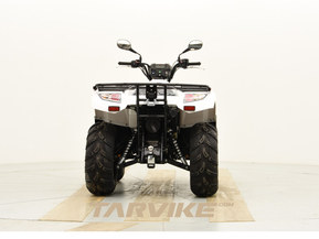 Kawasaki Brute Force