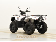 Kawasaki Brute Force