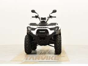 Kawasaki Brute Force