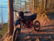 Beta RR