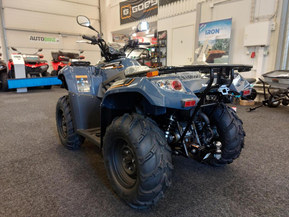 Kawasaki Brute Force