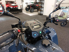 Kawasaki Brute Force