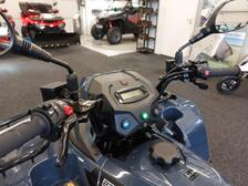 Kawasaki Brute Force