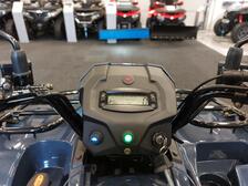 Kawasaki Brute Force