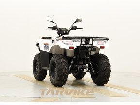 Kawasaki Brute Force