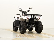 Kawasaki Brute Force