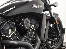 Indian Scout